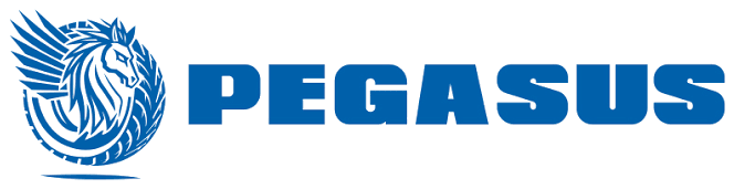 Pegasus